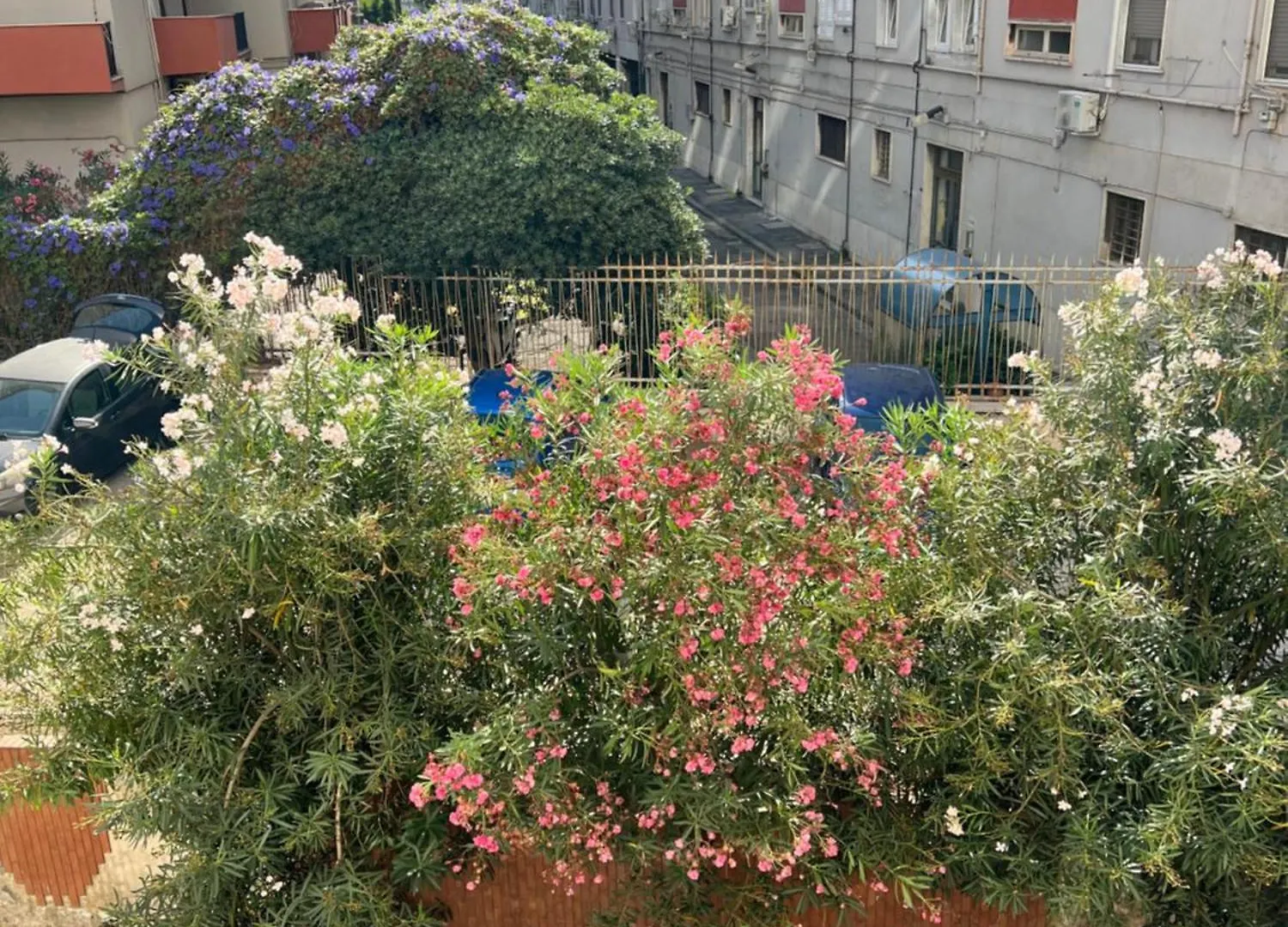 La Casa Di Gastone Apartment Naples